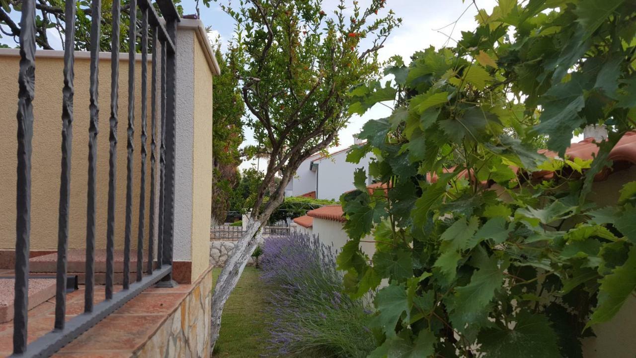 Holiday House Lavanda วรซี ภายนอก รูปภาพ